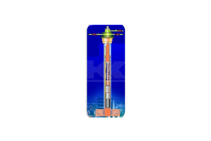 Supporting products and technical services for rodless oil production systems