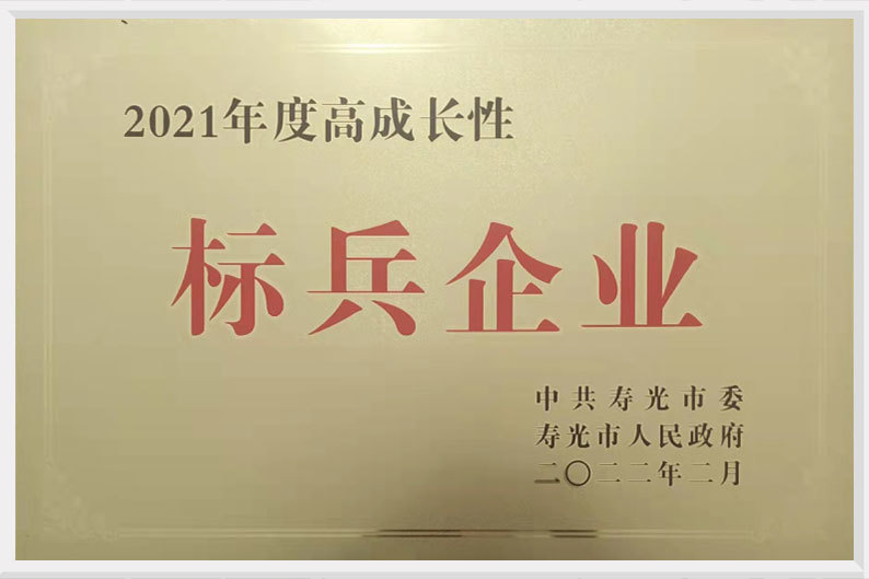 2021年度高成长性标兵企业